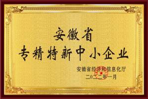 安徽省專(zhuān)精特新中小企業(yè)