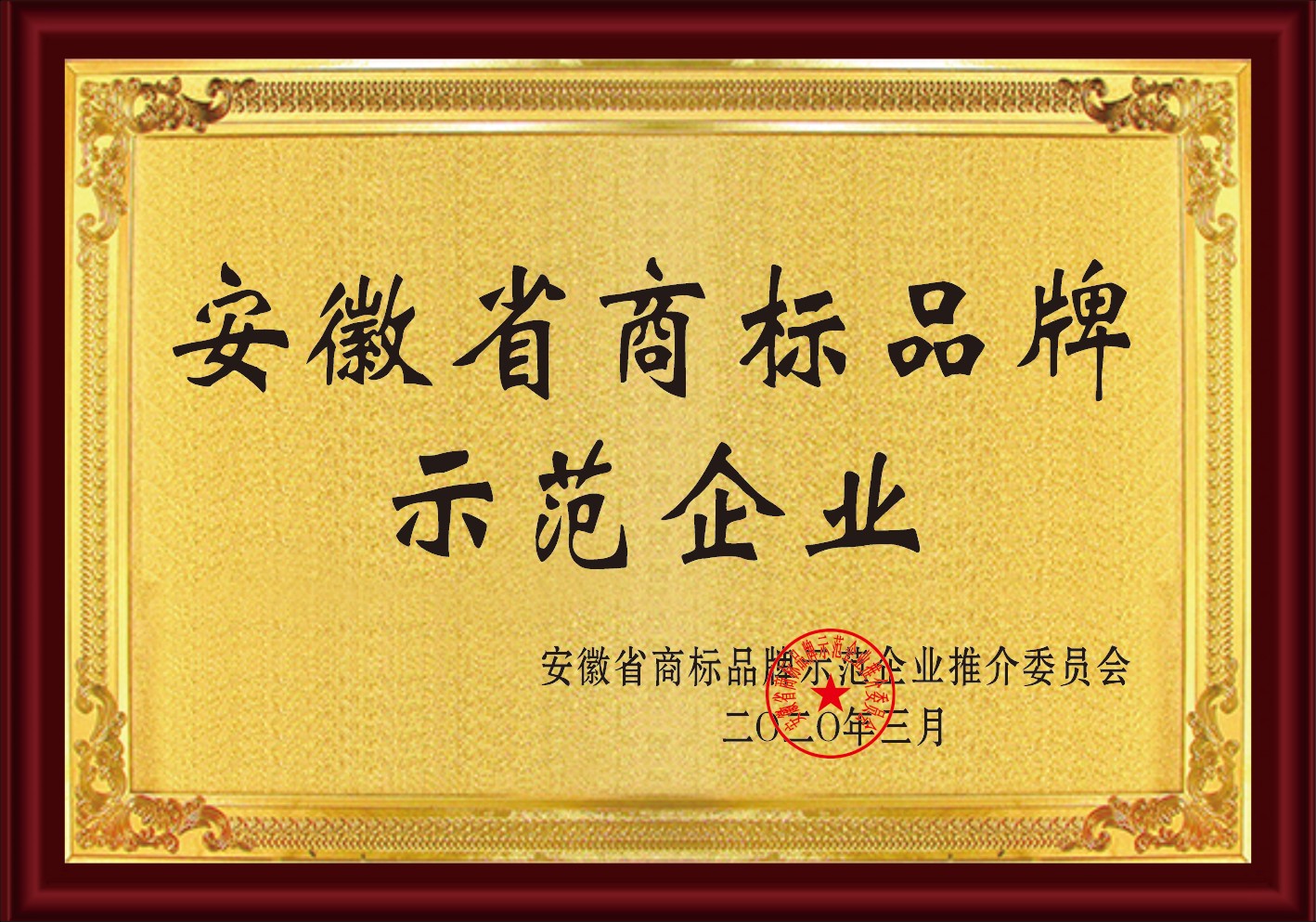 安徽省商標品牌示范企業(yè)